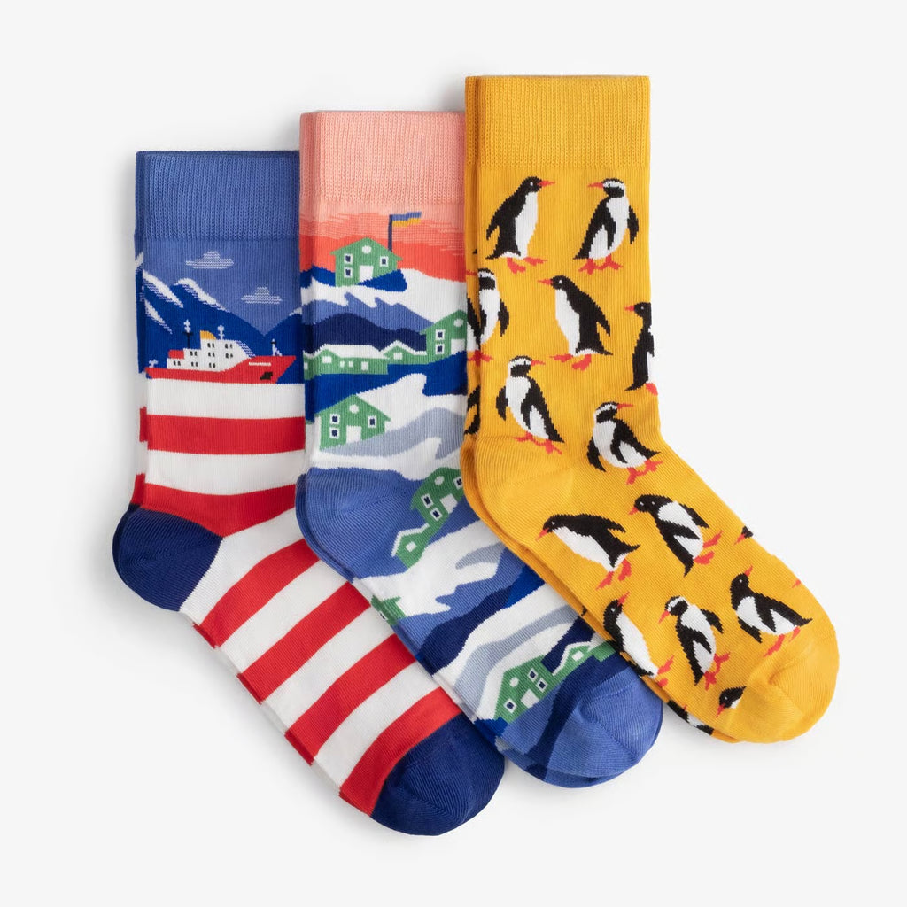 Vernadsky Socks 3-Pack